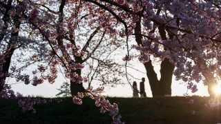 離婚しないために。産後クライシスの解決法*夫婦仲を改善できたたった一つの方法とは?